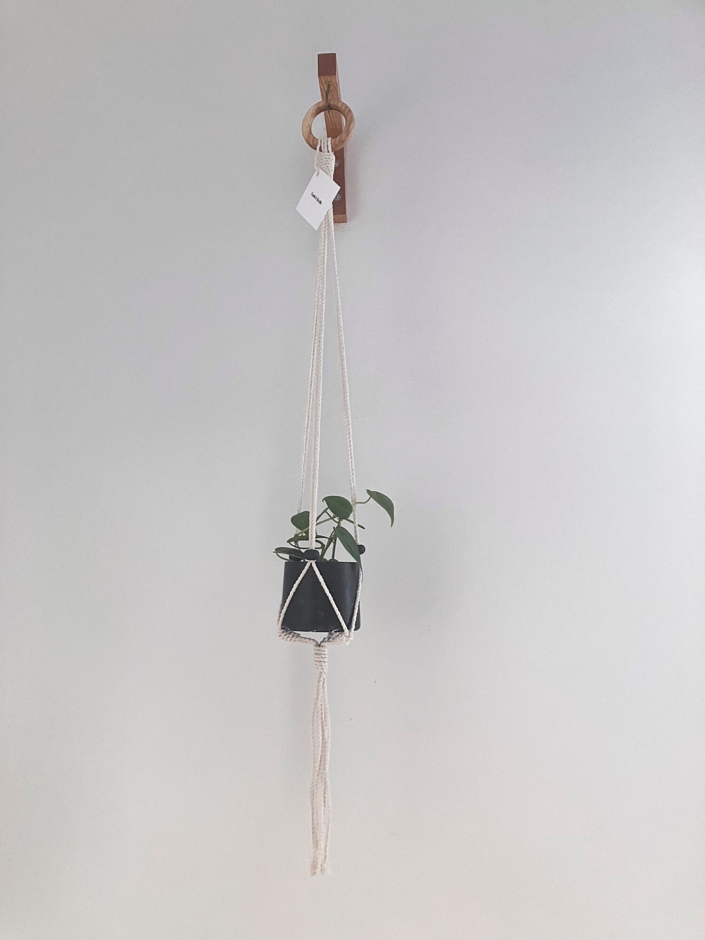 Mini jardinière suspendue à billes noires