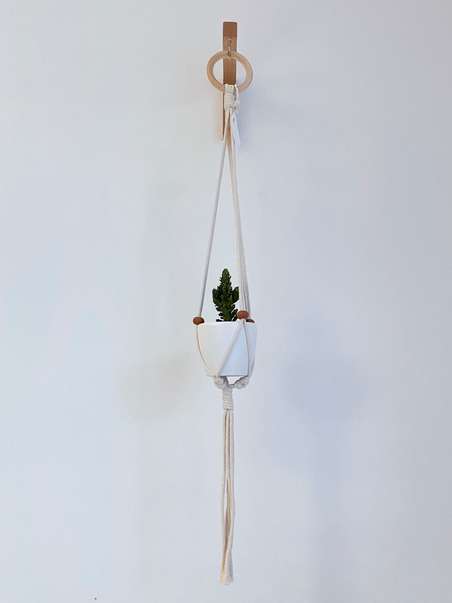 Mini hanging planter with terracotta balls