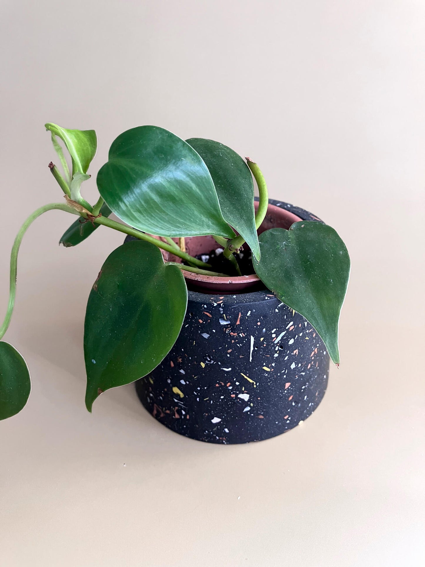 Mini cache-pot noir avec terrazzo