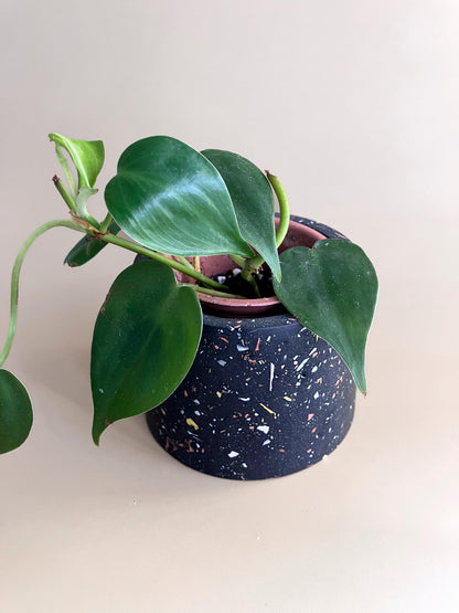 Mini cache-pot noir avec terrazzo
