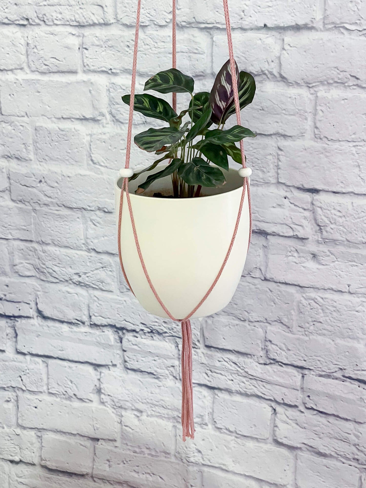 Adjustable planter with white flat beads - various colors