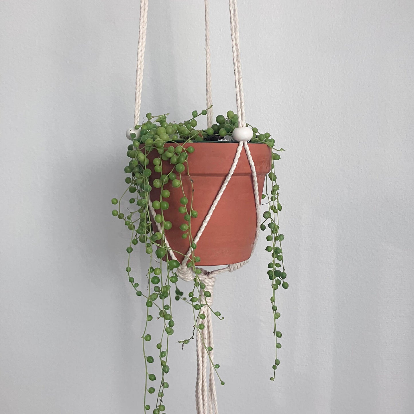 Adjustable planter with white flat beads - various colors