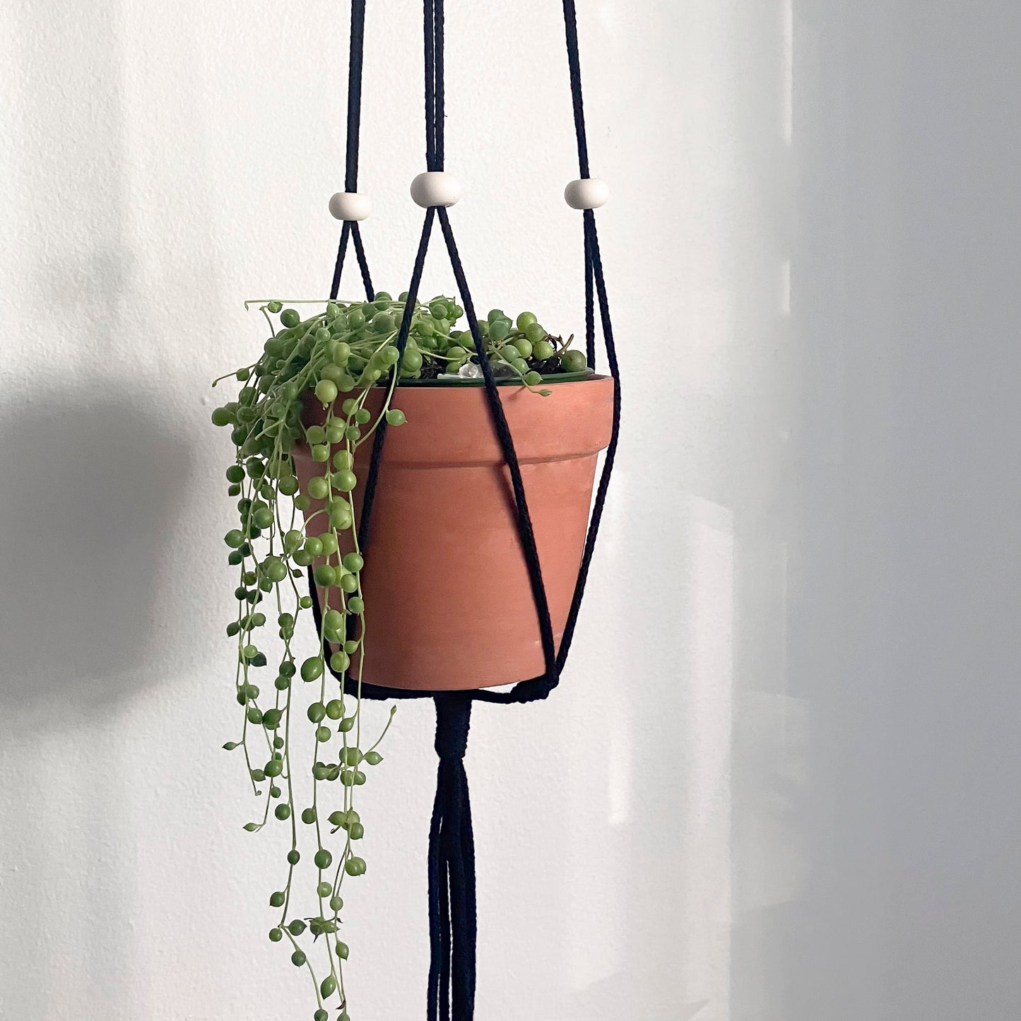 Adjustable planter with white flat beads - various colors