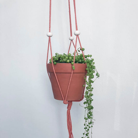 Adjustable planter with white flat beads - various colors