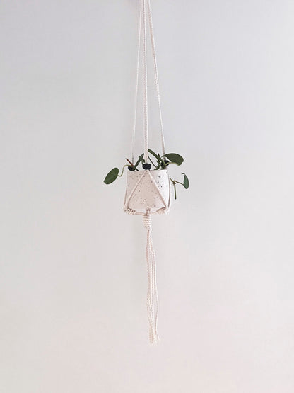 Hanging planter with terracotta balls