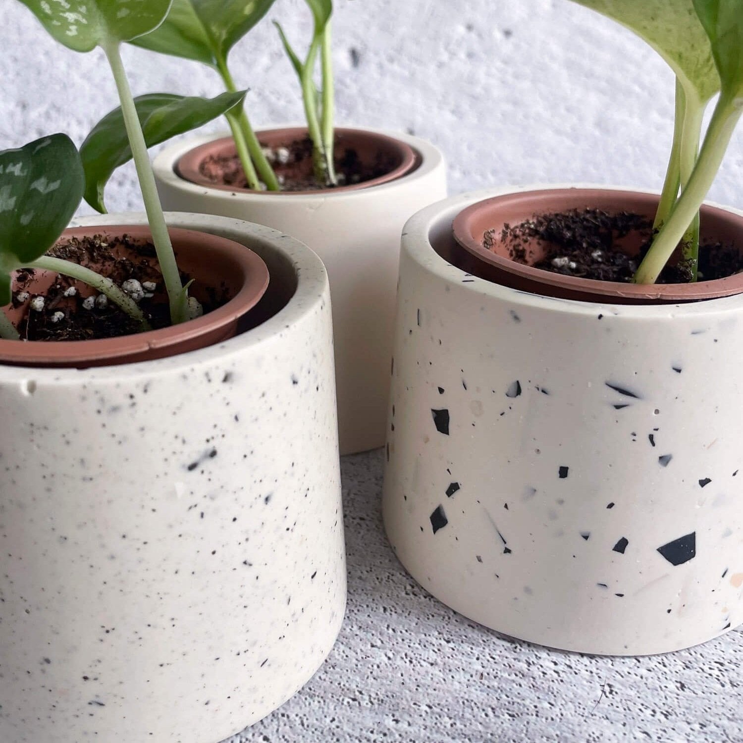 Trois mini cache-pots sur fond de béton vu de près et détail de terrazo